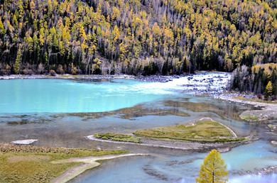 _DSC0227_.jpg