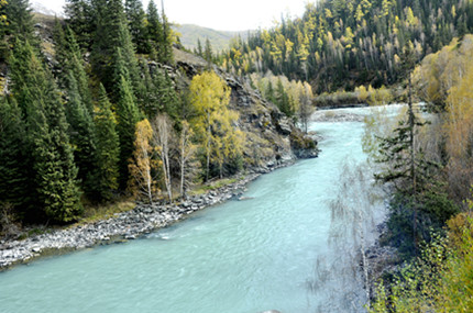 _DSC0037_.jpg