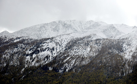 _DSC0087_.jpg