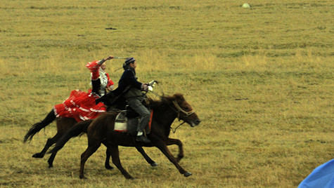 _DSC0293_.jpg