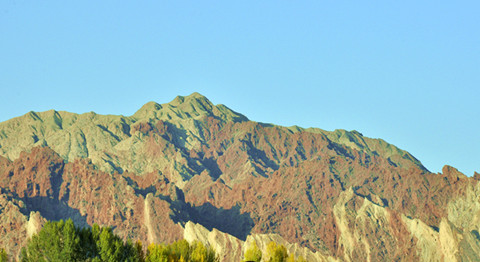 _DSC0604_.jpg