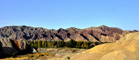 _DSC0591__.jpg