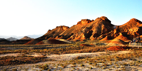 _DSC0638_1_.jpg