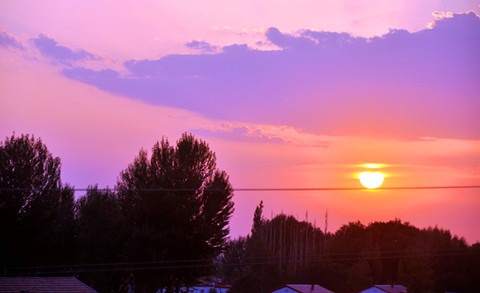 _DSC0164_.jpg