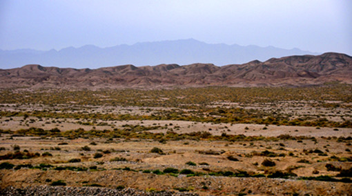 _DSC0448_.jpg