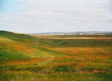 2003ɹš˹ 196.jpg