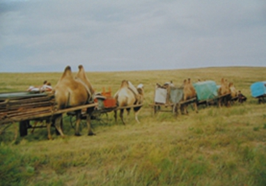 2003ɹš˹ 026.jpg