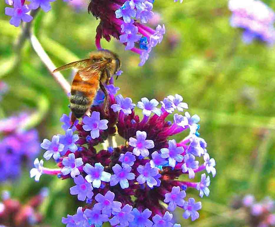 2-DSCN7280-33-йͤ԰.jpg