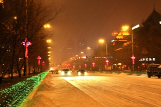 _DSC0001.JPG