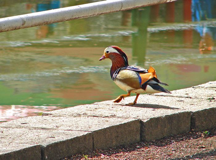 IMG_1-3ԧ.jpg