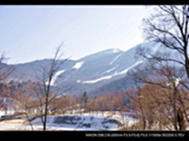 _DSC0333.JPG