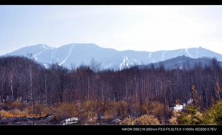 _DSC0337.JPG