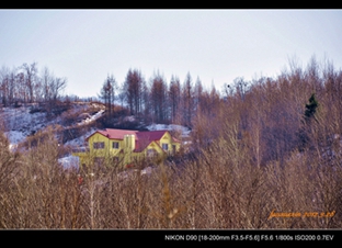 _DSC0339.JPG