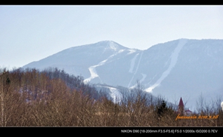 _DSC0346.JPG