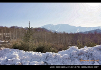 _DSC0345.JPG