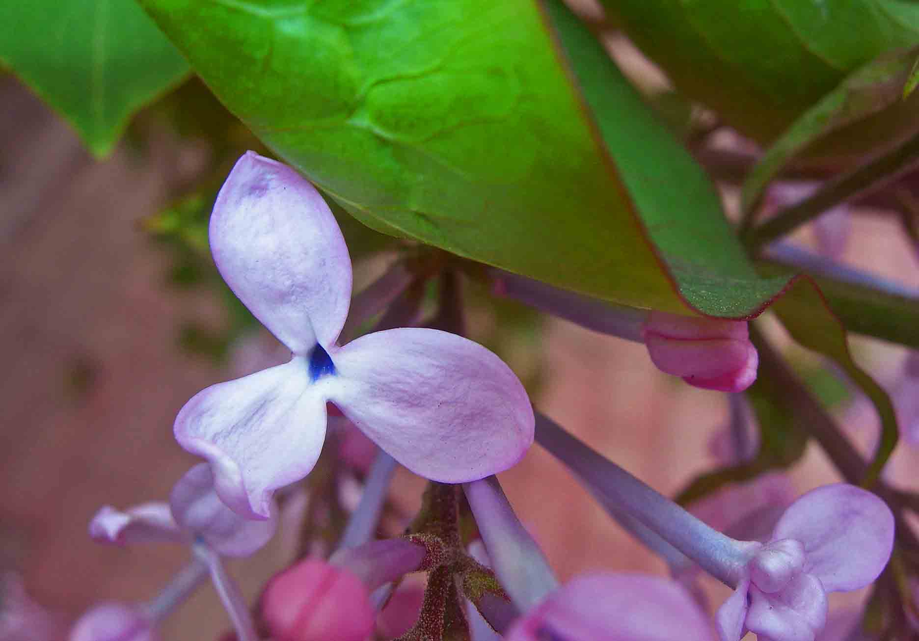 1-DSCN3082-3.jpg