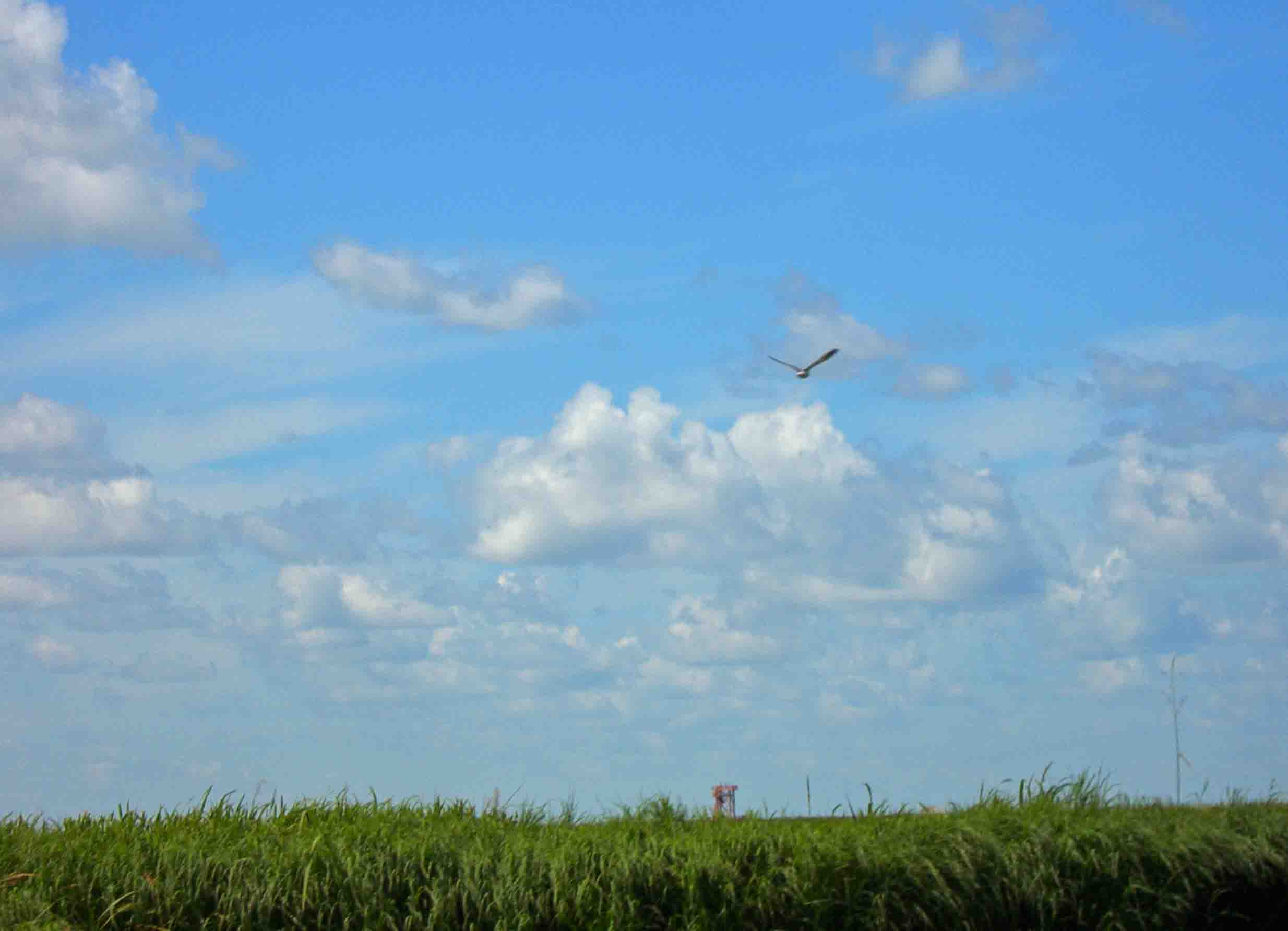 DSCN5756-3.jpg