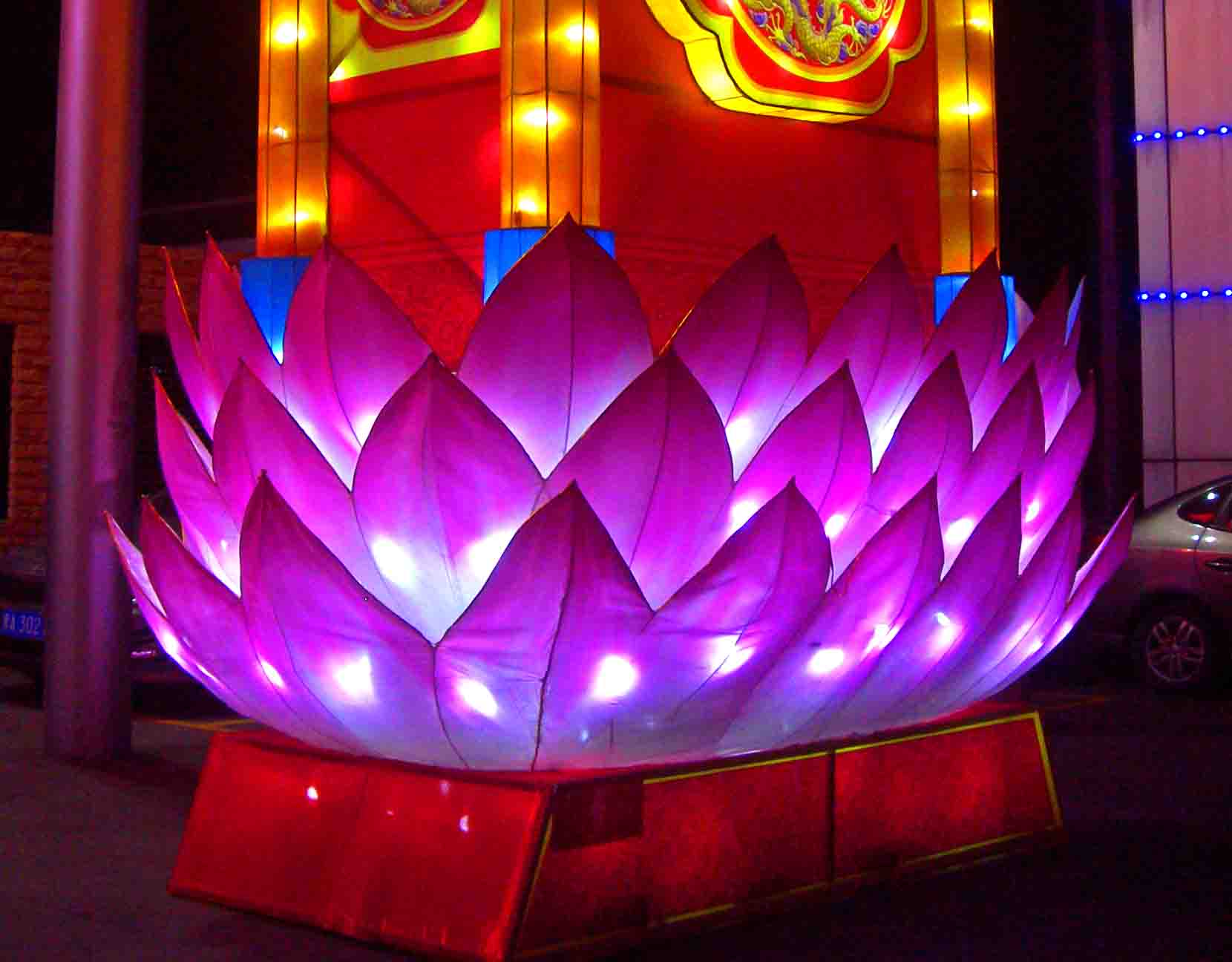DSCN3304-3.jpg