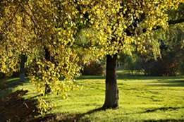 _DSC0800___.jpg
