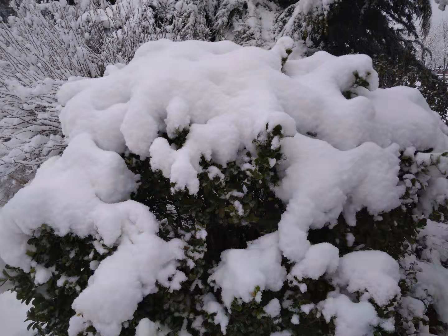 ΢ͼƬ_20181211191434.jpg
