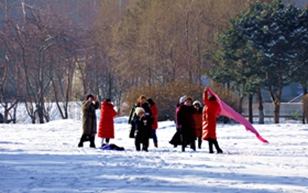 _DSC0982___.jpg