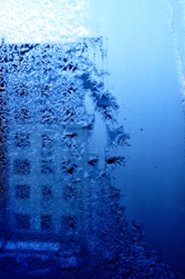 _DSC1265__.jpg