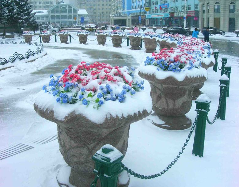 IMG_64ѩ.jpg