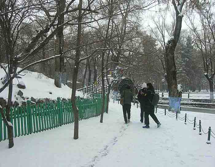 IMG_40-ѩ.jpg