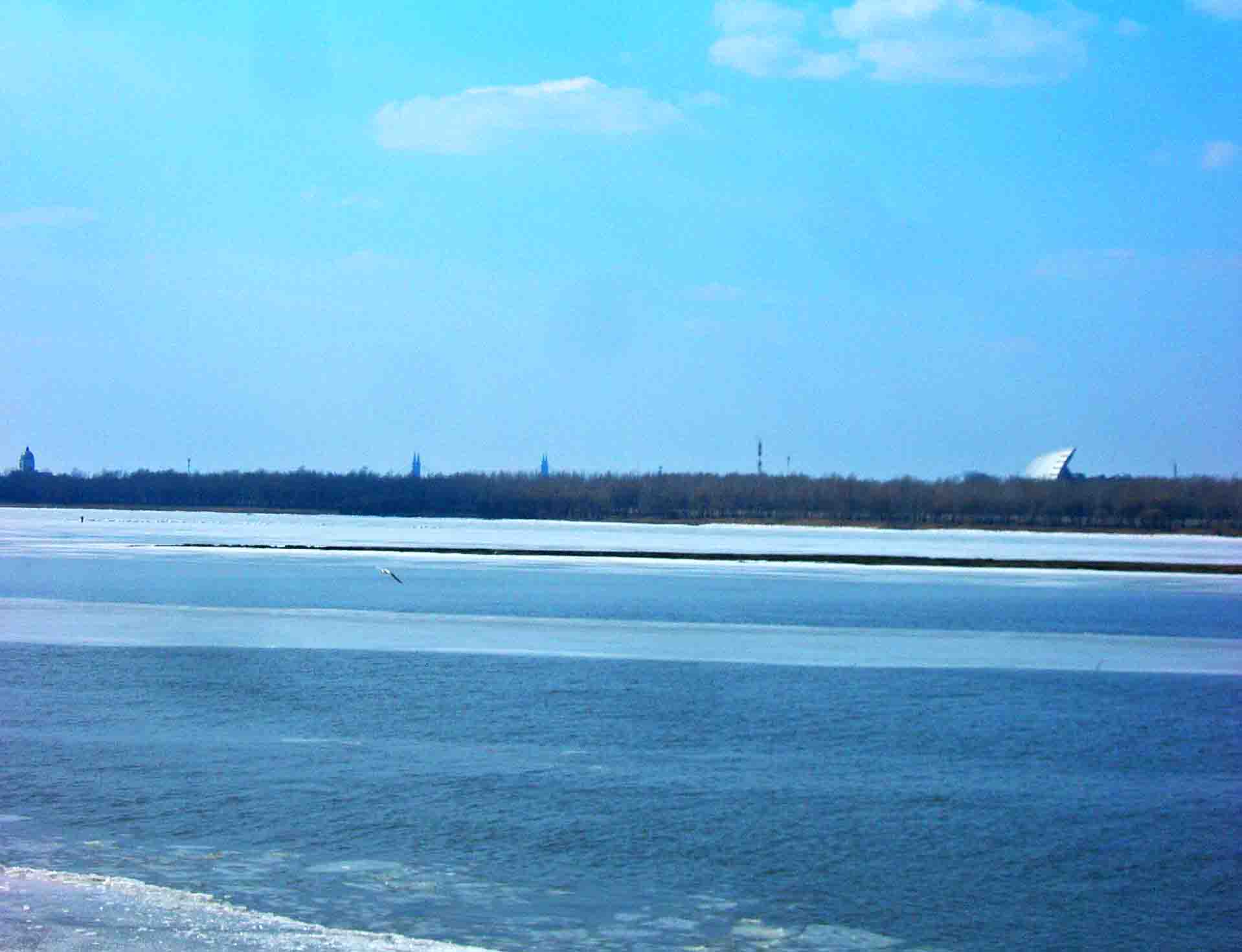 DSCN9977-3.jpg