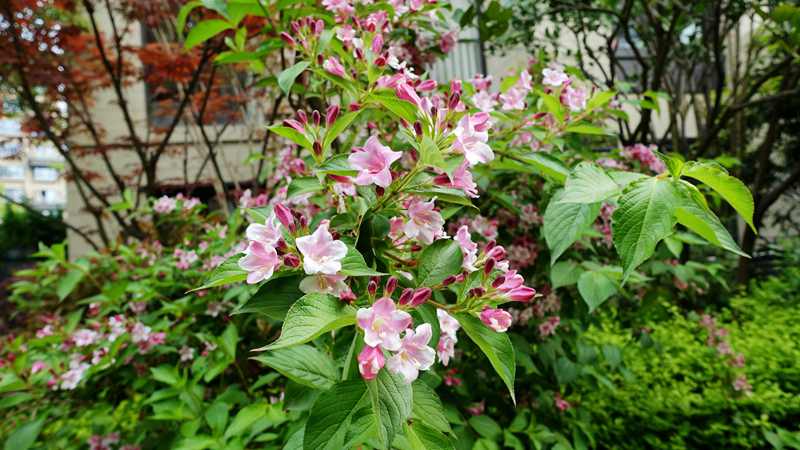 DSC04879.JPG