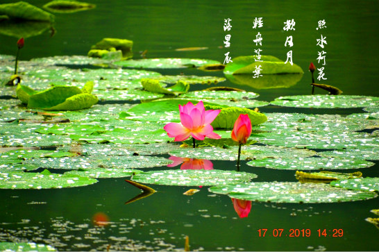 DSC_0083_ͼ_meitu_2.jpg