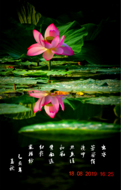 DSC_0153_ͼ_meitu_1_meitu_2.jpg