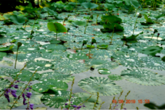 DSC_0051_ͼ_meitu_5.jpg