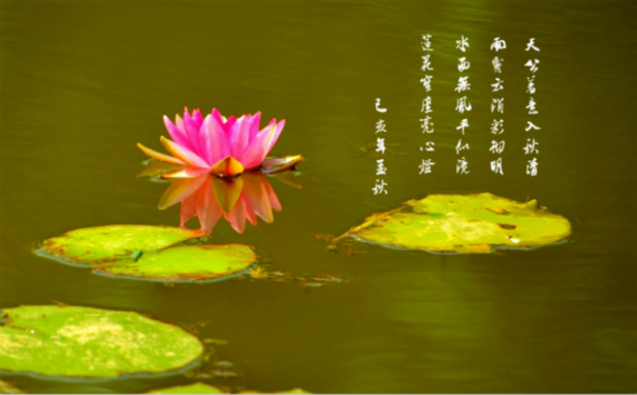 DSC_0061_ͼ_meitu_1_meitu_1.jpg