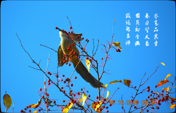 DSC_0365_ͼ_meitu_1_meitu_4.jpg