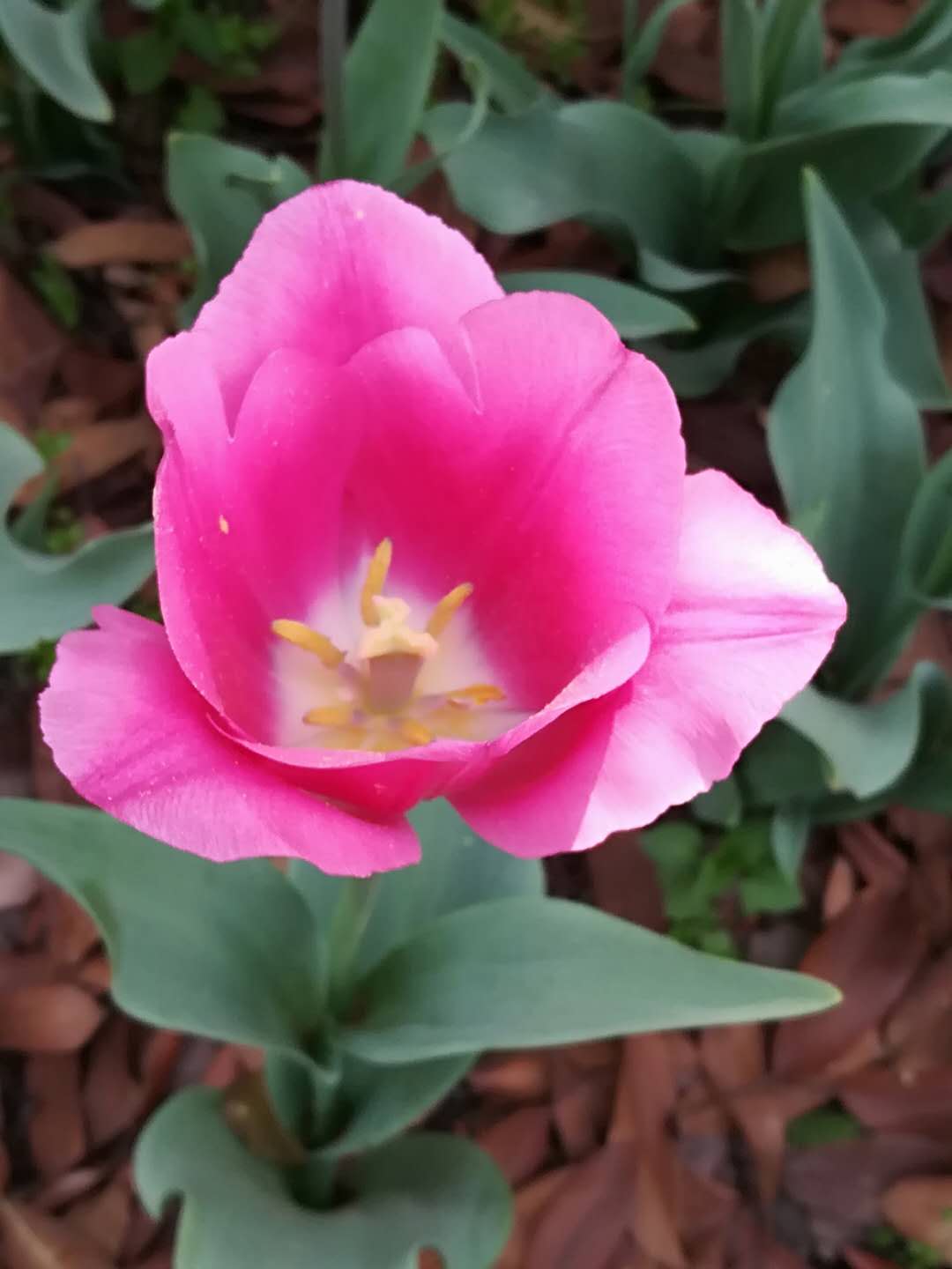΢ͼƬ_20190521120042.jpg