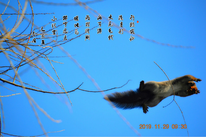 DSC_0058_ͼ_meitu_1_meitu_2.jpg