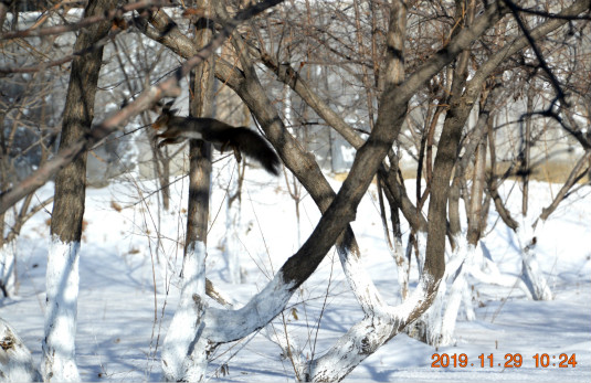 DSC_0629_ͼ_meitu_6.jpg