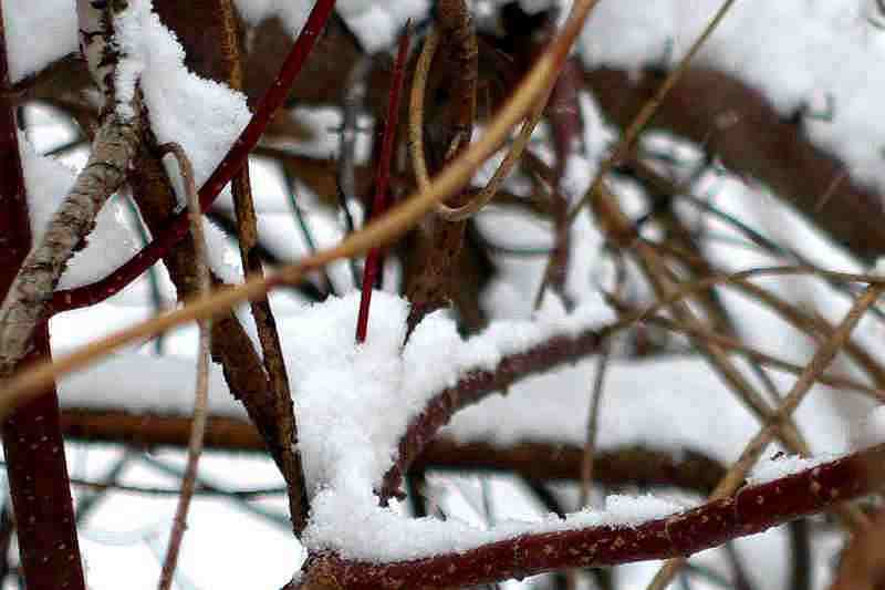 DSC06580.JPG