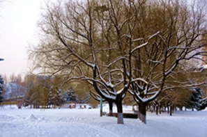 _DSC4964_.jpg