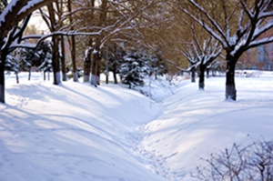 _DSC4979_.jpg