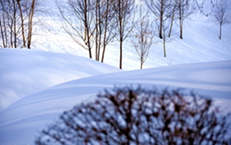 _DSC4982__.jpg