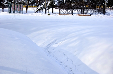 _DSC4984_.jpg