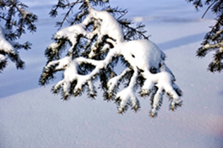 _DSC4986_.jpg