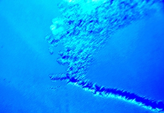 _DSC5046_.jpg