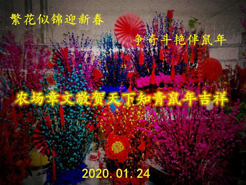 IMG_20200119_094450_BURST002.jpg