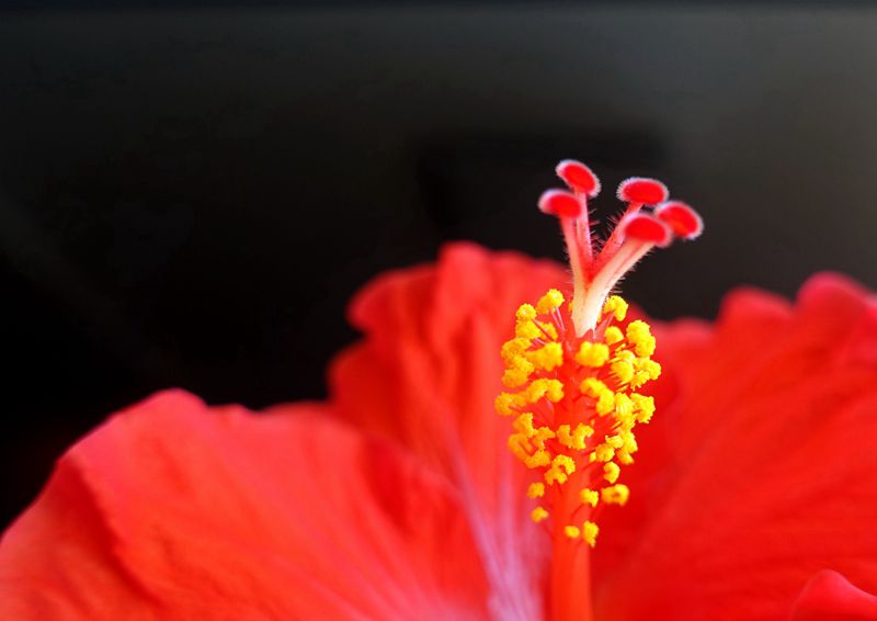 DSC07843_.jpg