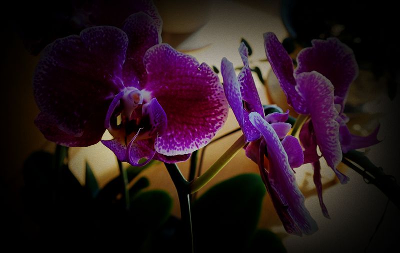 DSC07848_.jpg