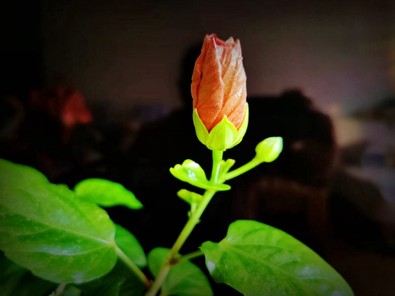 ΢ͼƬ_20200415140435.jpg
