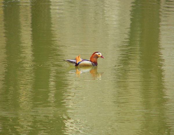 IMG_20ԧ.jpg